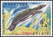 Stamp Belgium Y&T N1348