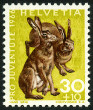 Timbre Y&T N781