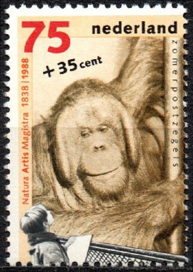 Timbre Pays-Bas Y&T N�1311