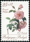 Stamp Y&T N2355