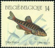 Stamp Y&T N2384