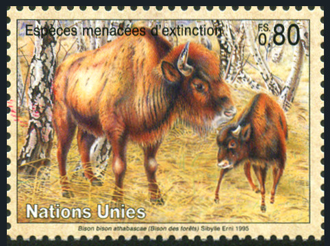 Timbre O.N.U. Gen�ve Y&T N�286