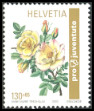 Timbre Y&T N�1738