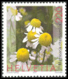 Timbre Y&T N1751