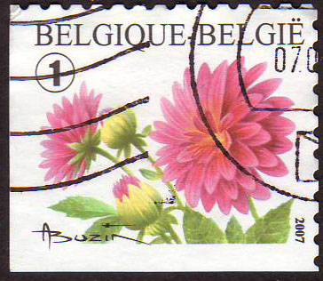 Timbre Belgique Y&T N°3701a