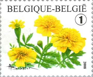 Timbre Belgique Y&T N°3767