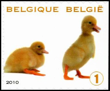 Timbre Belgique Y&T N3986