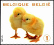 Timbre Belgique Y&T N3983