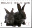 Timbre Belgique Y&T N3984