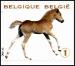 Timbre Belgique Y&T N3987