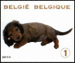 Timbre Belgique Y&T N3989