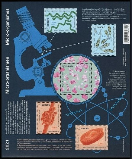 Timbre Belgique Y&T N�F4991