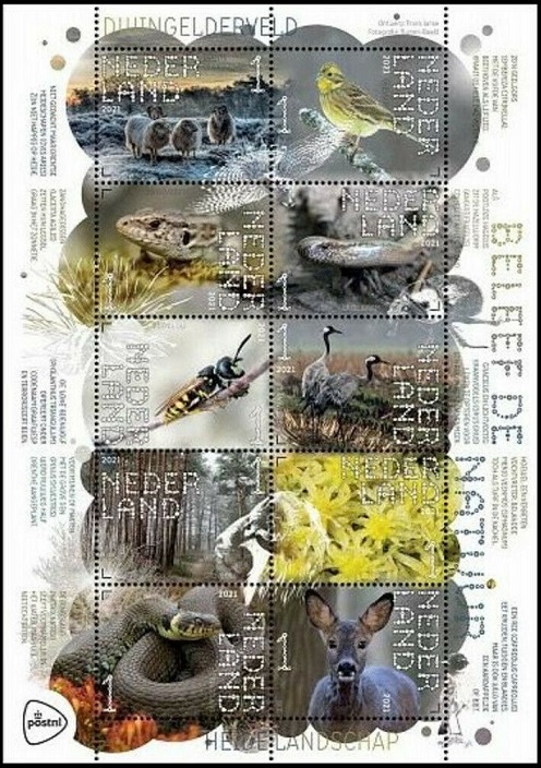 Timbre Pays-Bas Y&T N°3914-3923 Timbre Pays-Bas Y&T N°3914-3923