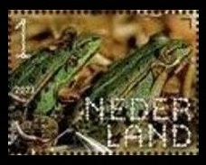 Timbre Pays-Bas Y&T N3977