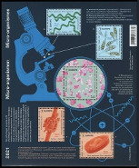Timbre Belgique Y&T N�F4991