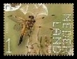 Timbre Pays-Bas Y&T N3979