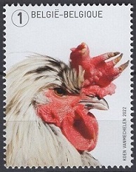 Stamp Belgium Y&T N5097
