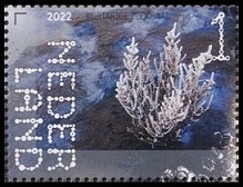 Timbre Pays-Bas Y&T N4019