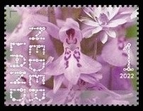 Timbre Pays-Bas Y&T N°4027 Timbre Pays-Bas Y&T N°4027