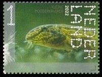 Timbre Pays-Bas Y&T N°4029 Timbre Pays-Bas Y&T N°4029