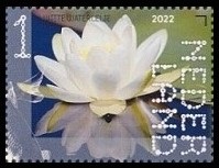 Timbre Pays-Bas Y&T N°4033 Timbre Pays-Bas Y&T N°4033