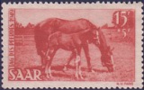 Timbre Y&T N253