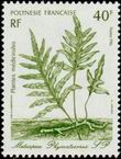Stamp Y&T N268