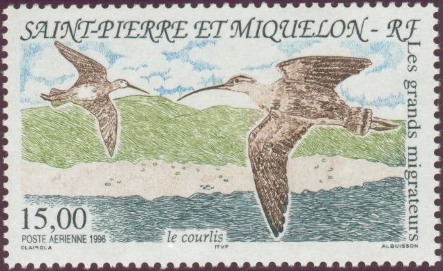 Timbre Saint-Pierre et Miquelon Y&T NPA75