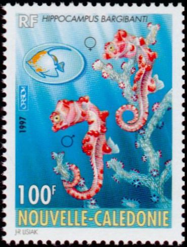 Timbre Nouvelle Cal�donie Y&T N�740