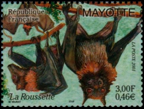 Timbre Mayotte Y&T N104