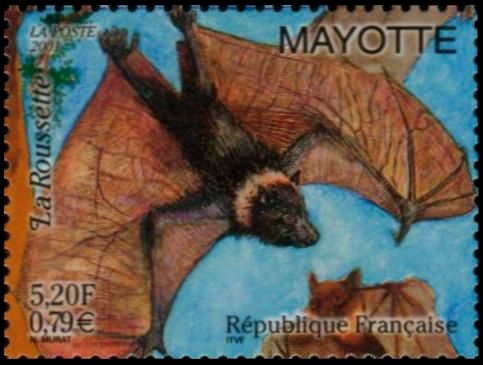 Timbre Mayotte Y&T N105