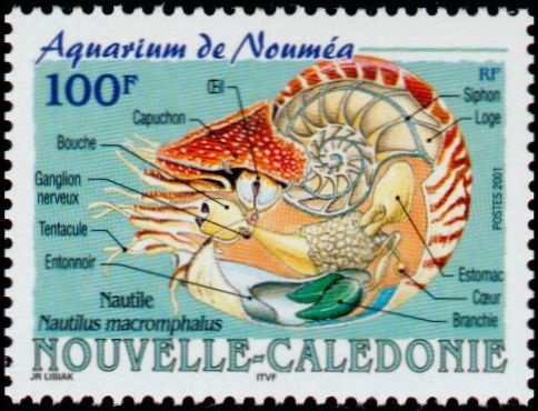 Timbre Nouvelle Calédonie Y&T N°841 Timbre Nouvelle Calédonie Y&T N°841