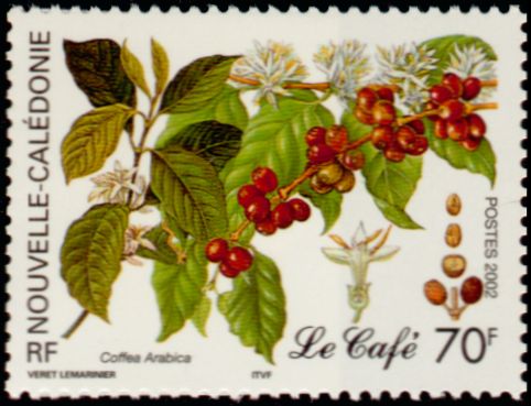 Timbre Nouvelle Calédonie Y&T N°869 Timbre Nouvelle Calédonie Y&T N°869