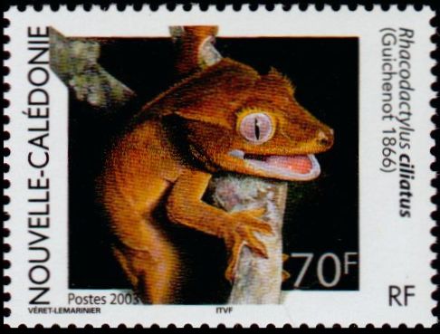 Timbre Nouvelle Calédonie Y&T N°BF29-3 Timbre Nouvelle Calédonie Y&T N°BF29-3