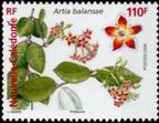 Timbre Y&T N981