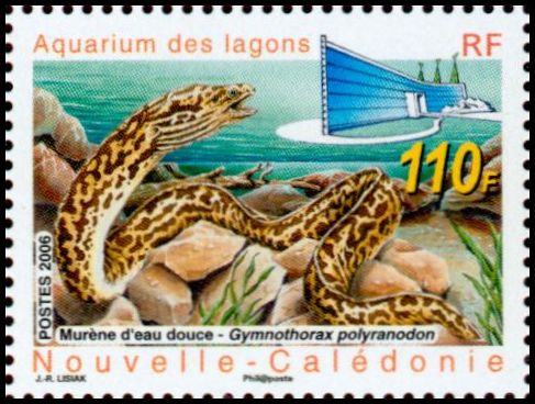 Timbre Nouvelle Calédonie Y&T N°1019 Timbre Nouvelle Calédonie Y&T N°1019