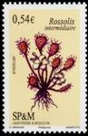 Briefmarken Y&T N900