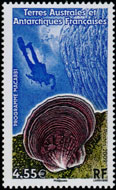 Timbre Y&T N527