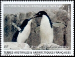 Timbre Y&T N672
