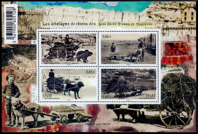 Timbre Saint-Pierre et Miquelon Y&T N�F1104