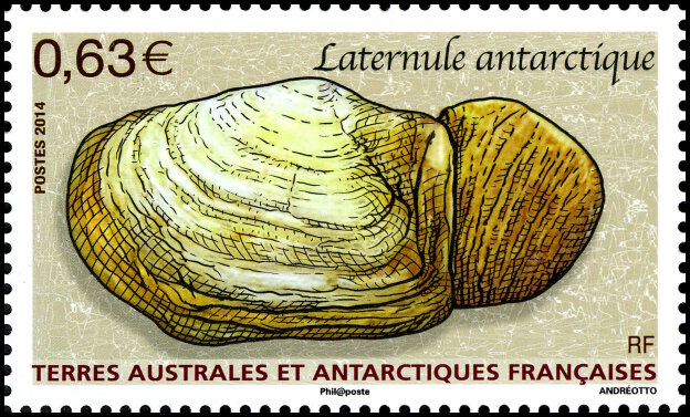 Briefmarken French Southern and Antarctic Lands (TAAF) Y&T N°700 Briefmarken French Southern and Antarctic Lands (TAAF) Y&T N°700