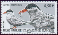Timbre Y&T N725