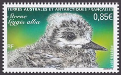 Timbre T.A.A.F. Y&T N°799 Timbre T.A.A.F. Y&T N°799