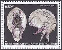 Timbre T.A.A.F. Y&T N°807 Timbre T.A.A.F. Y&T N°807