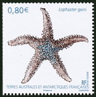 Timbre T.A.A.F. Y&T N�865