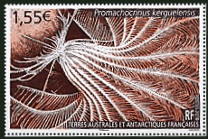 Timbre T.A.A.F. Y&T N�867