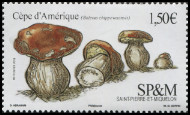 Stamp Y&T N2019-016