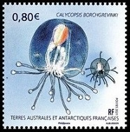 Timbre T.A.A.F. Y&T N°963 Timbre T.A.A.F. Y&T N°963