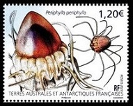 Timbre T.A.A.F. Y&T N°964 Timbre T.A.A.F. Y&T N°964