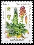 Stamp French Southern and Antarctic Lands (TAAF) Y&T N969